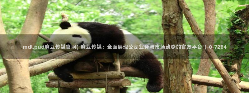 麻豆下载整理：mdl.pud麻豆传媒官网(\