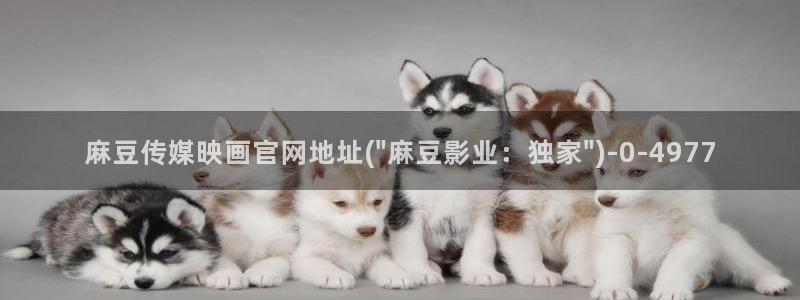 麻豆视频高清下载：麻豆传媒映画官网地址(\