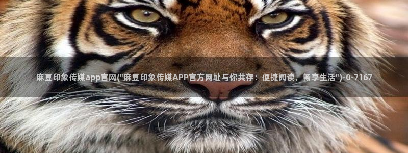 麻豆 合集专区：麻豆印象传媒app官网(\