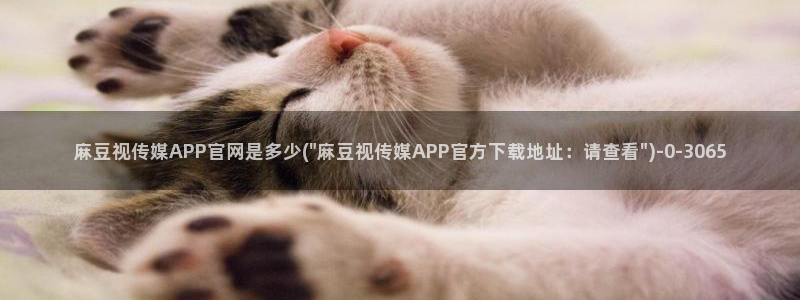 麻豆 完整版下载：麻豆视传媒APP官网是多少(\