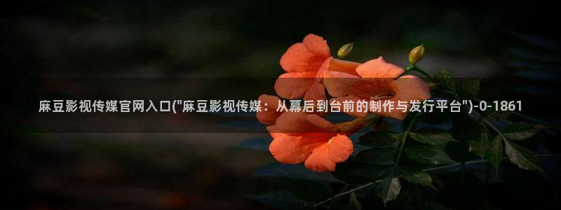麻豆 热门资源：麻豆影视传媒官网入口(\