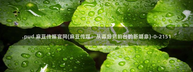 麻豆视频 导航：.pud 麻豆传媒官网(麻豆传媒：从