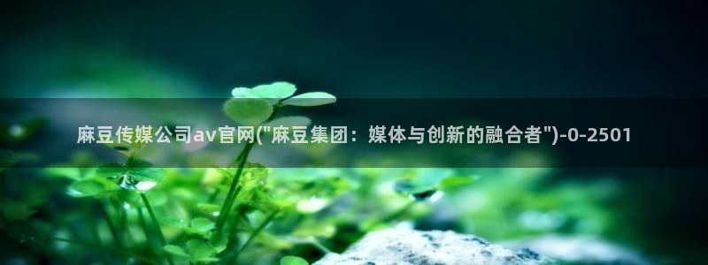 麻豆更新整理：麻豆传媒公司av官网(\