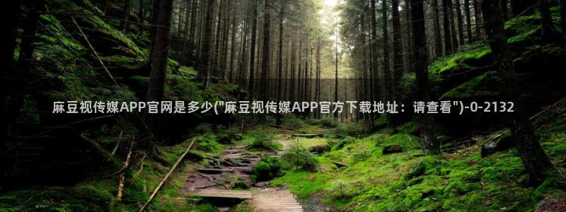 麻豆 完整版合集：麻豆视传媒APP官网是多少(\