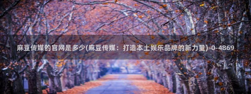 麻豆高清更新：麻豆传媒的官网是多少(麻豆传媒：打造本
