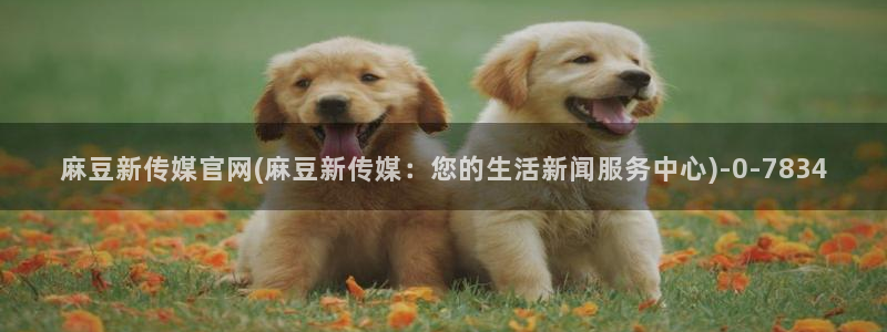 麻豆 下载：麻豆新传媒官网(麻豆新传媒：您的生活新闻服务