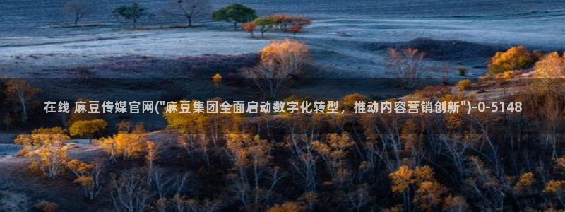 麻豆资源入口：在线 麻豆传媒官网(\