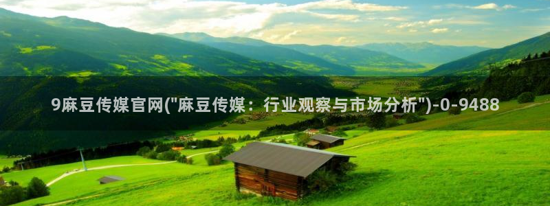 麻豆视频最新资源：9麻豆传媒官网(\