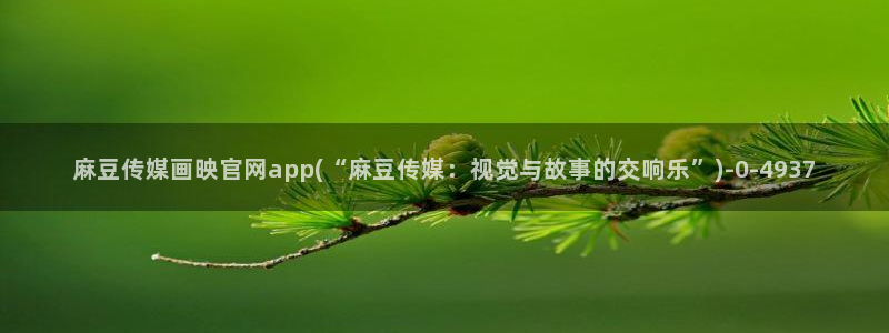 麻豆视频入口推荐：麻豆传媒画映官网app(“麻豆传媒：视觉与故事的交响乐”)