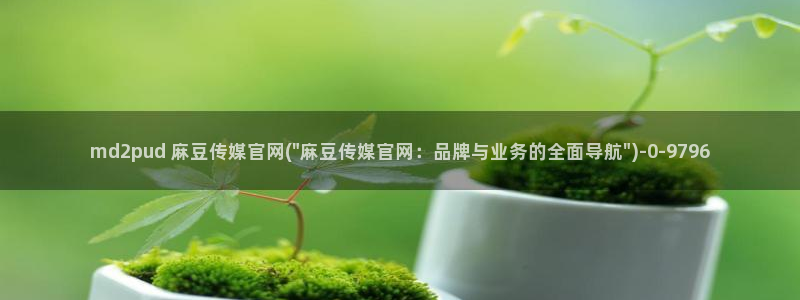 麻豆 完整版入口：md2pud 麻豆传媒官网(\