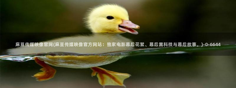 麻豆视频精选更新：麻豆传媒映像官网(麻豆传媒映像官方网站：独家电影幕后花絮、幕后黑科技与幕后故事。)