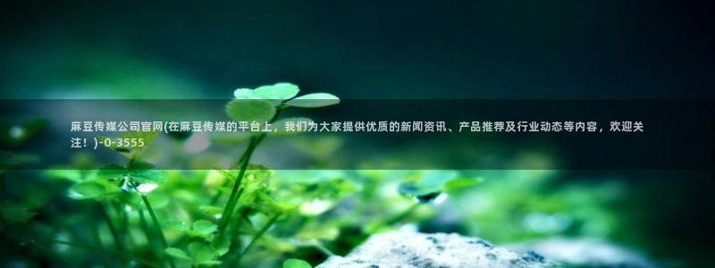 麻豆视频 更新合集：麻豆传媒公司官网(在麻豆传媒的平台上，我们为大家提供优质的新闻资讯、产品推荐及行业动态等内容，欢迎关注！)