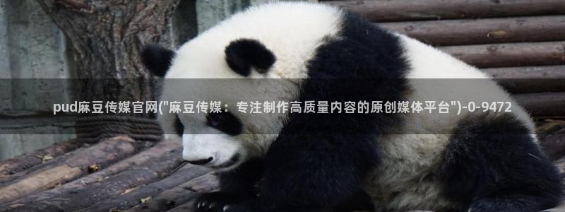 麻豆 入口入口：pud麻豆传媒官网(\