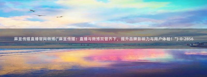 麻豆视频 精选合集：麻豆传媒直播官网微博(\