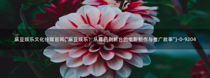 麻豆视频 推荐高清：麻豆娱乐文化传媒官网(\
