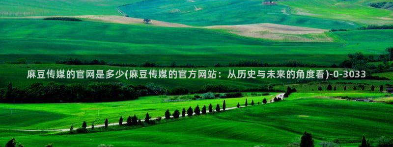麻豆视频高清导航：麻豆传媒的官网是多少(麻豆传媒的官方网站：从历史与未来的角度看)