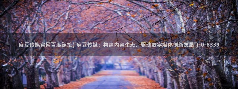 麻豆视频精选专区：麻豆传媒官网百度链接(\