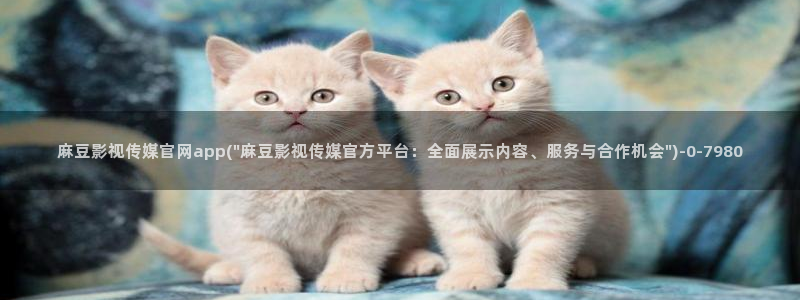 麻豆视频完整版推荐：麻豆影视传媒官网app(\