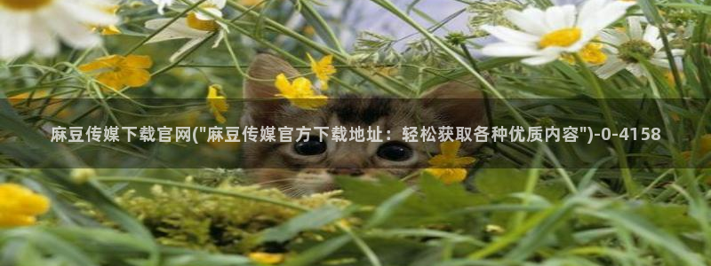 麻豆视频完整版资源：麻豆传媒下载官网(\
