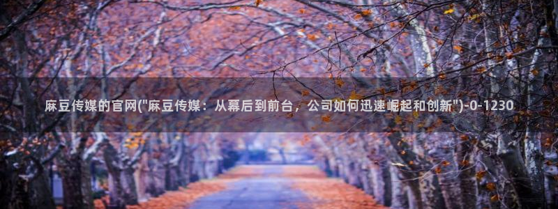 麻豆原创视频：麻豆传媒的官网(\