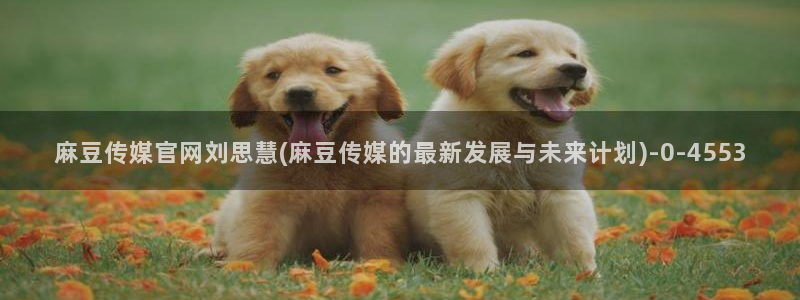 麻豆视频 内容：麻豆传媒官网刘思慧(麻豆传媒的最新发展与未来计划)