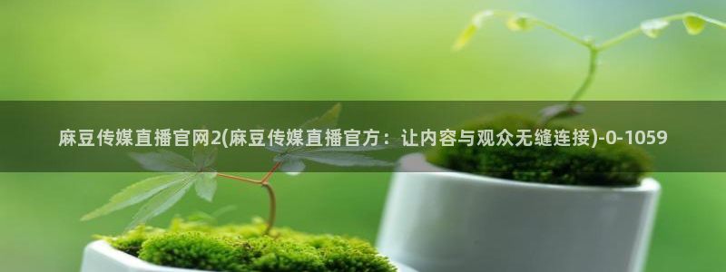 麻豆视频 专区推荐：麻豆传媒直播官网2(麻豆传媒直播官方