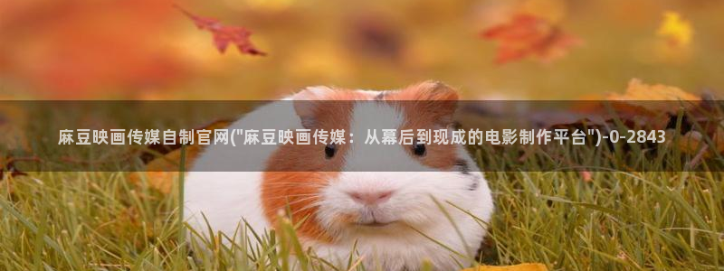 麻豆视频 合集视频：麻豆映画传媒自制官网(\
