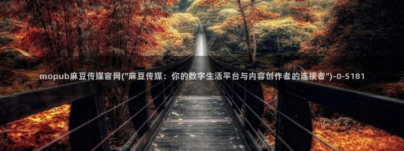 麻豆视频 热门入口：mopub麻豆传媒官网(\
