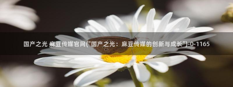 麻豆完整版高清：国产之光 麻豆传媒官网(\