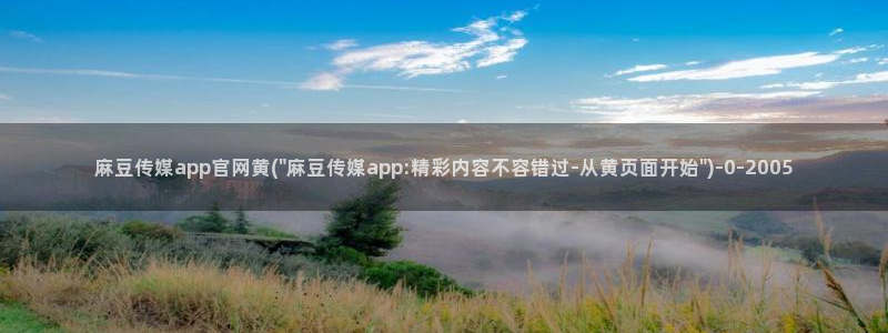 麻豆视频 短片视频