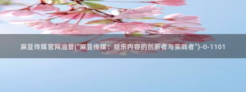 麻豆资源整理：麻豆传媒官网油管(\