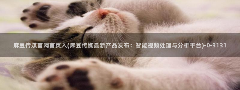 麻豆视频合集更新：麻豆传媒官网首页入(麻豆传媒最