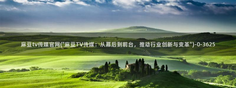 麻豆视频 短片完整版：麻豆tv传媒官网(\