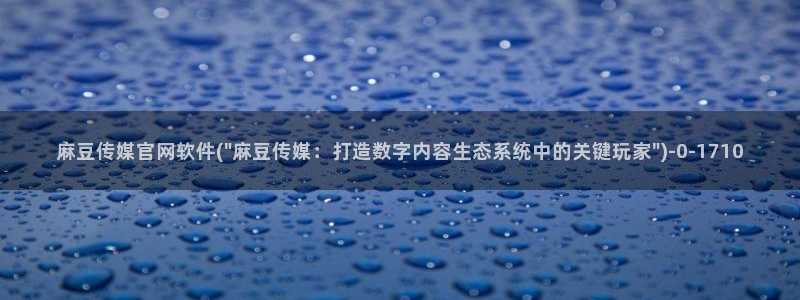 麻豆视频 高清推荐：麻豆传媒官网软件(\