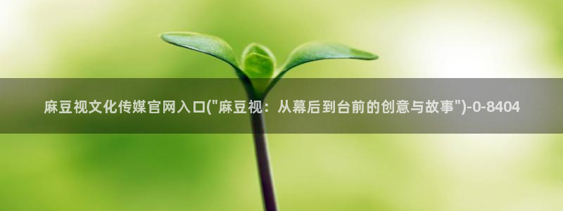 麻豆视频内容导航：麻豆视文化传媒官网入口(\