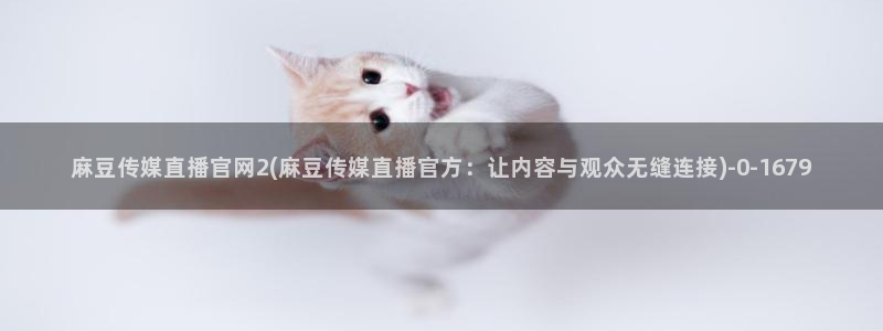 麻豆视频 资源推荐：麻豆传媒直播官网2(麻豆传媒